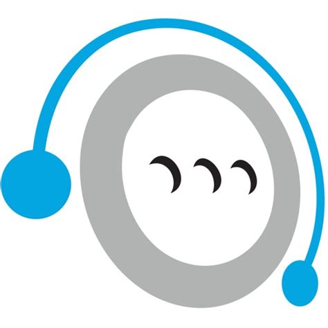 qualfon data services group llc